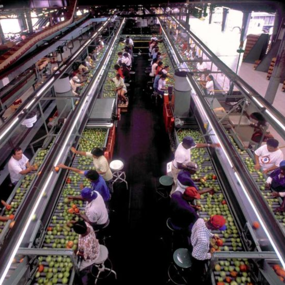 Liste des Entreprise Agroalimentaire en France