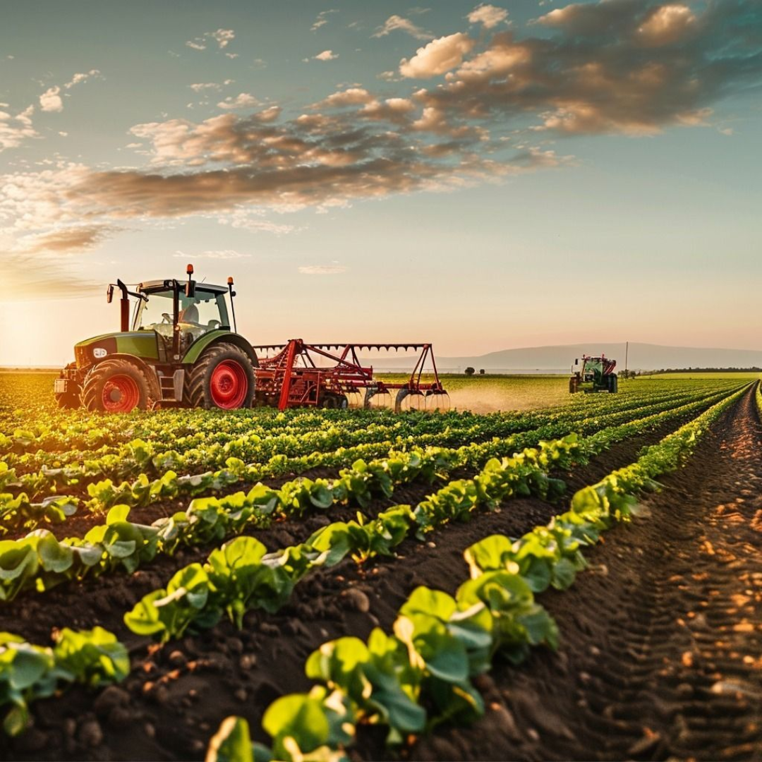 Liste des Entreprises Agroalimentaire en France